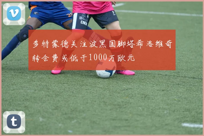 多特蒙德关注波黑国脚塔希洛维奇转会费或低于1000万欧元