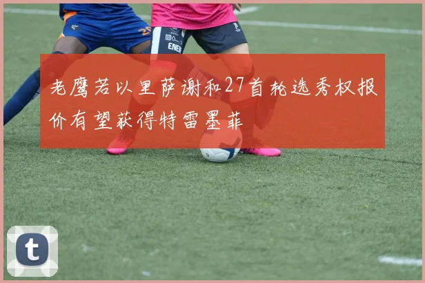 老鹰若以里萨谢和27首轮选秀权报价有望获得特雷墨菲