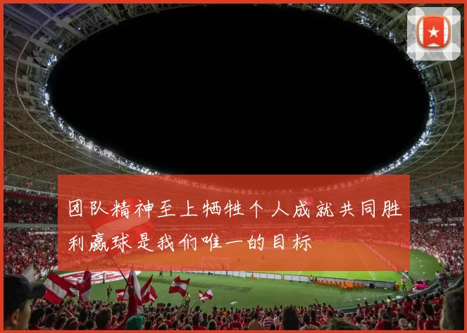 团队精神至上牺牲个人成就共同胜利赢球是我们唯一的目标