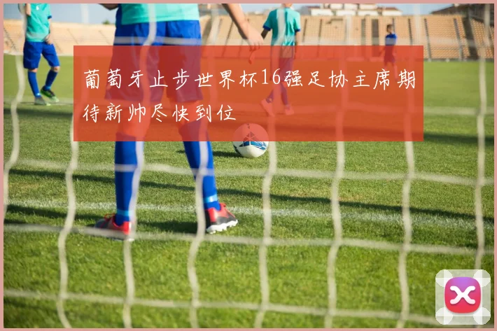 葡萄牙止步世界杯16强足协主席期待新帅尽快到位