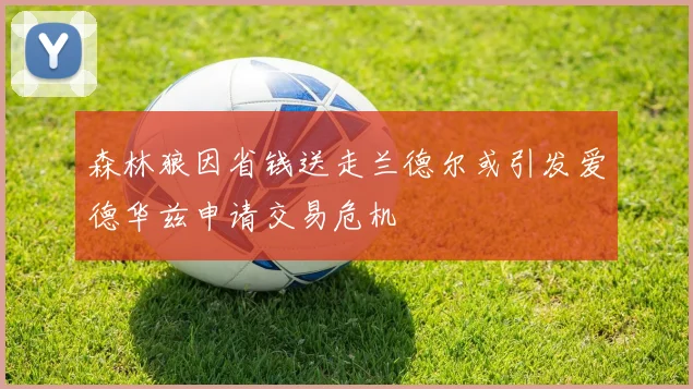森林狼因省钱送走兰德尔或引发爱德华兹申请交易危机